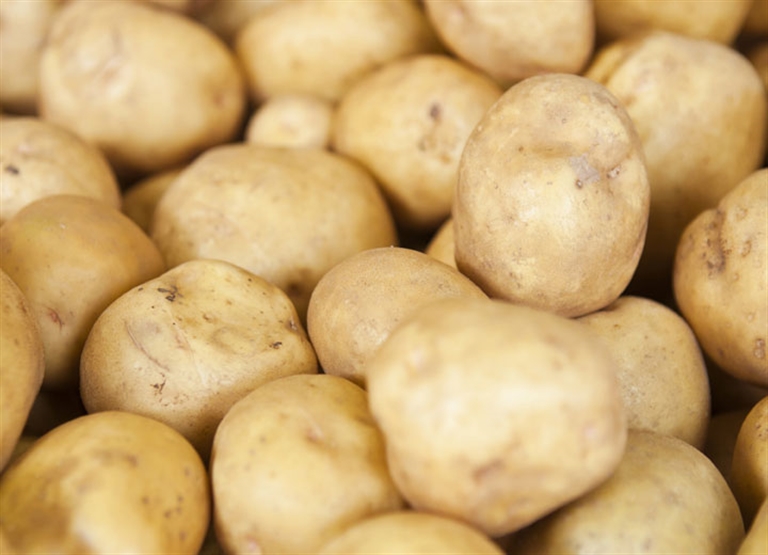 농작물 저장 가습